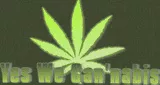 Yes We Cannabis 