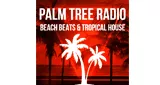 Palm Tree Radio