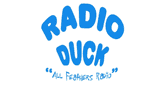 Radio Duck