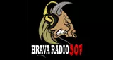 Brava Radio 507