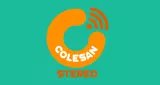 Colesan Stereo