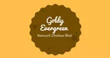 Goldy Evergreen