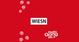 Radio Gong Wiesn Hits