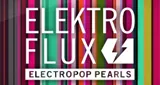 FluxFM - ElektroFlux