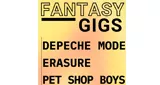 Fantasy Gigs Synths Live