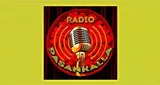 Radio Pasankalla